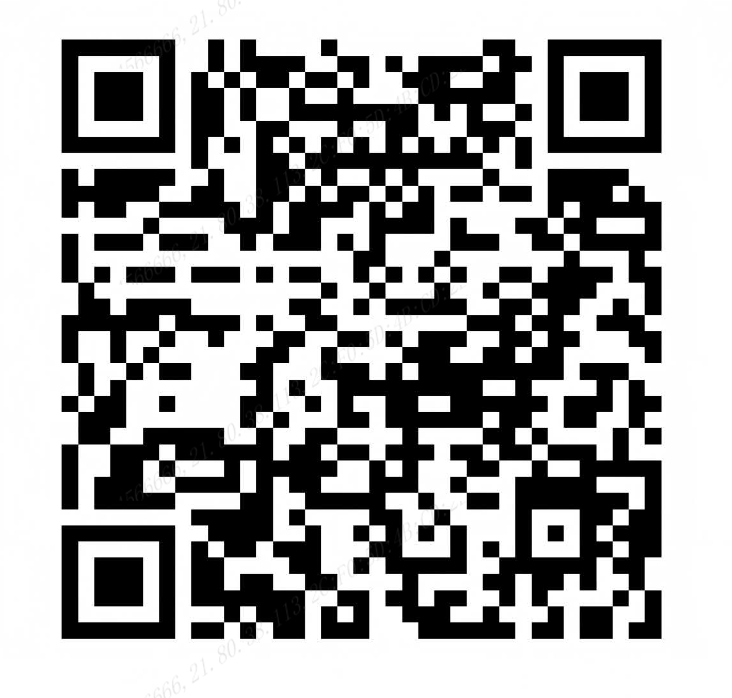 中行新疆2603春招